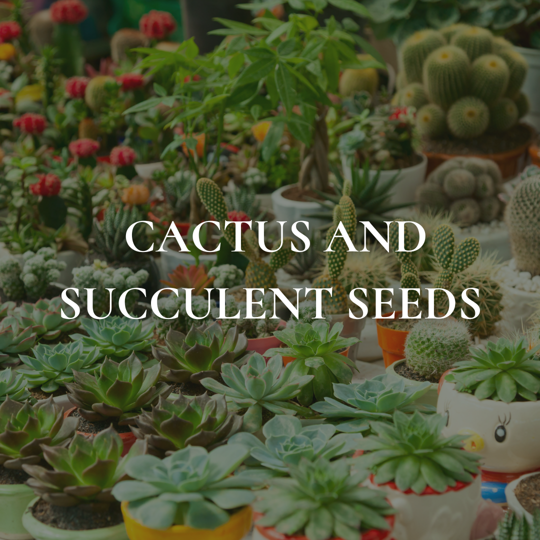 Cactus & Succulent Seeds