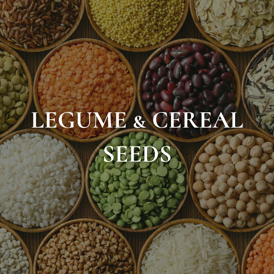 Legume & Cereal Seeds